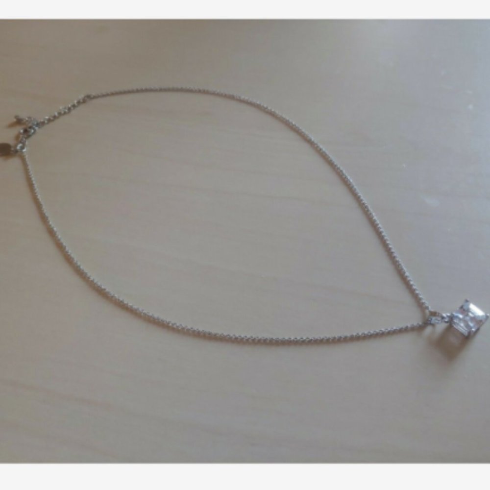 Express brand Silver Chain and CZ Pendant Necklace